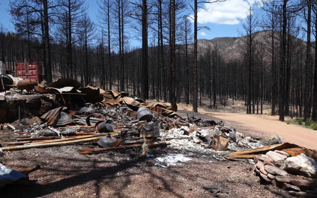 burned homes in new mexico wildfire arson aftermath april 2025