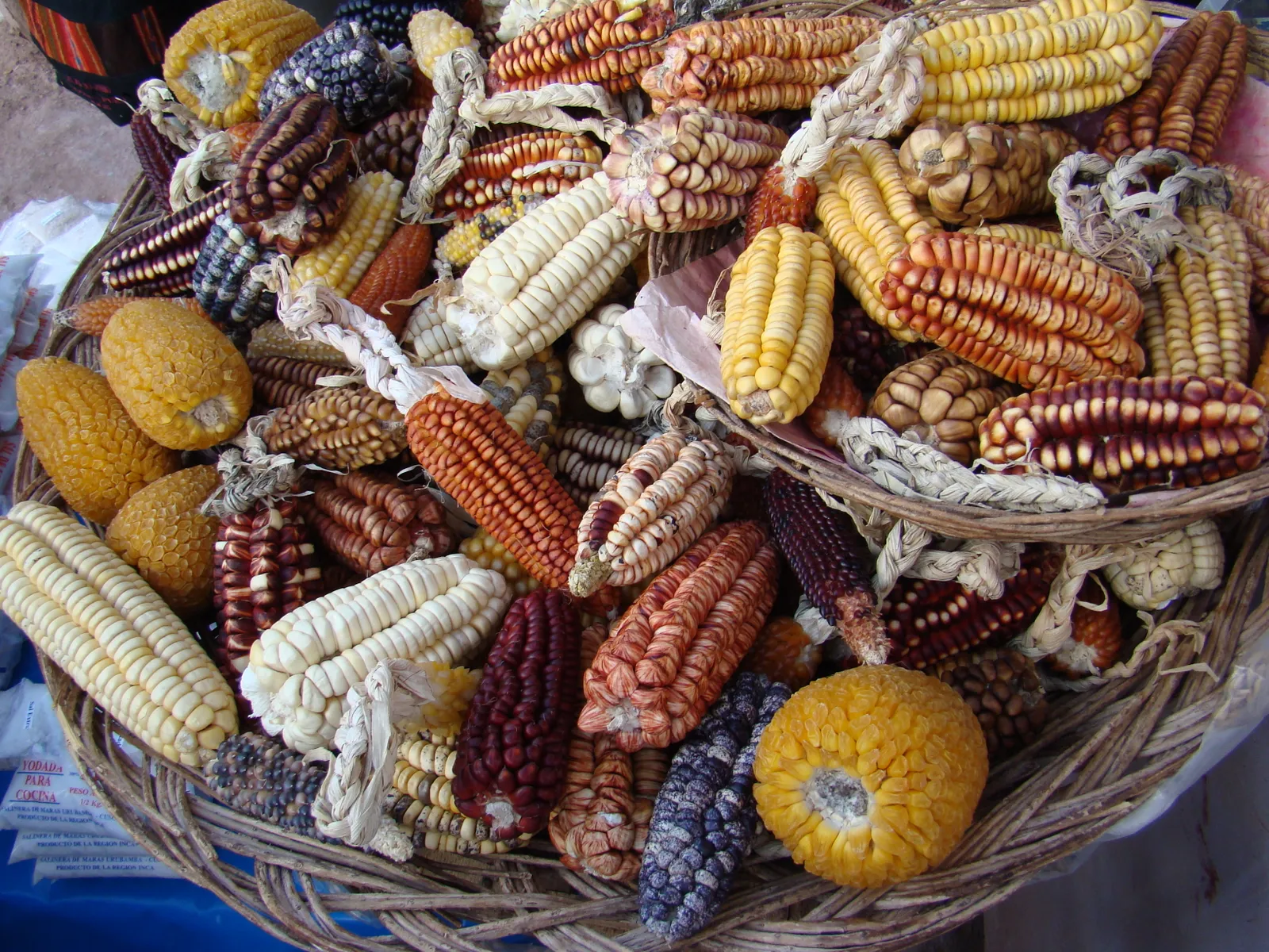 crates of american corn rejected by european customs