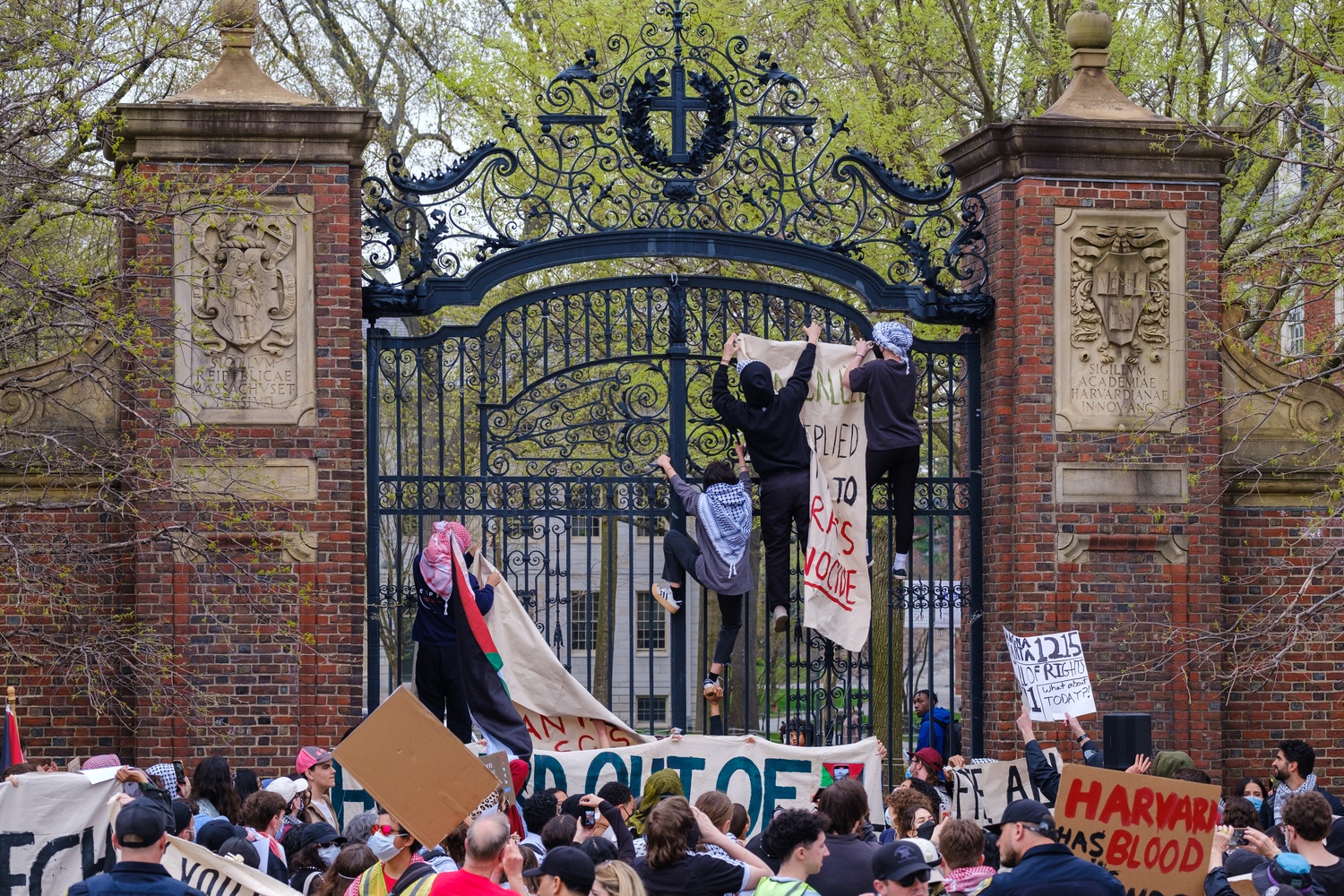 harvard university campus during protest with flags and students gathered
