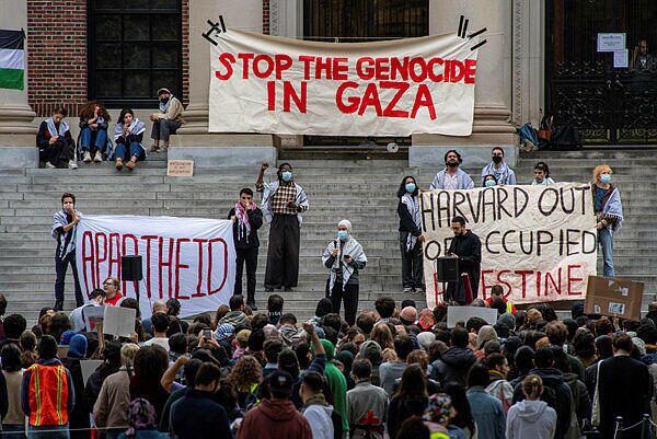 harvard university protests