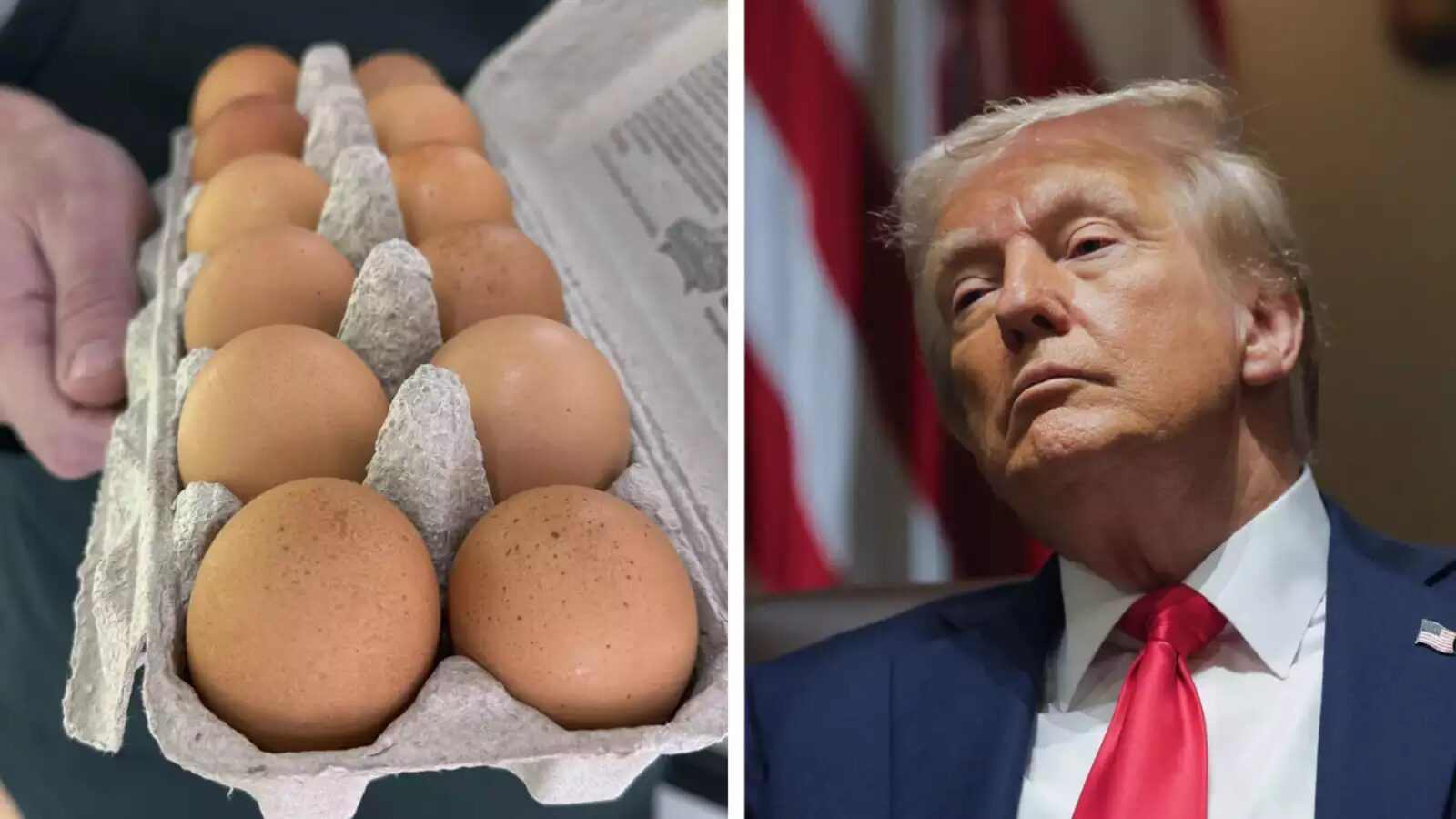 Cracked Wide Open: Media Chokes on Trump’s Grocery Win