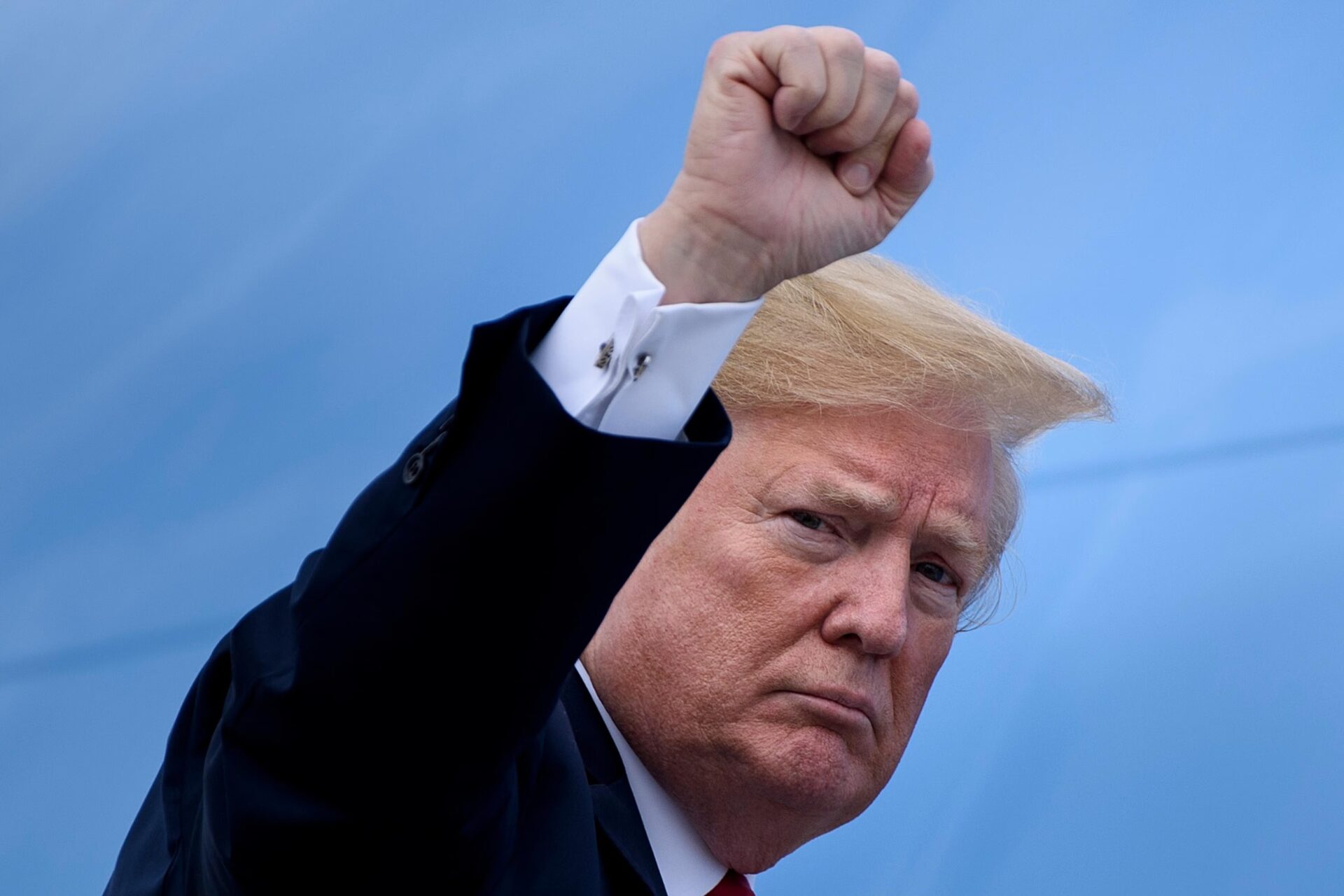 trump fist