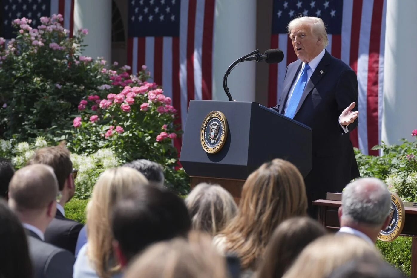 trump rose garden speech