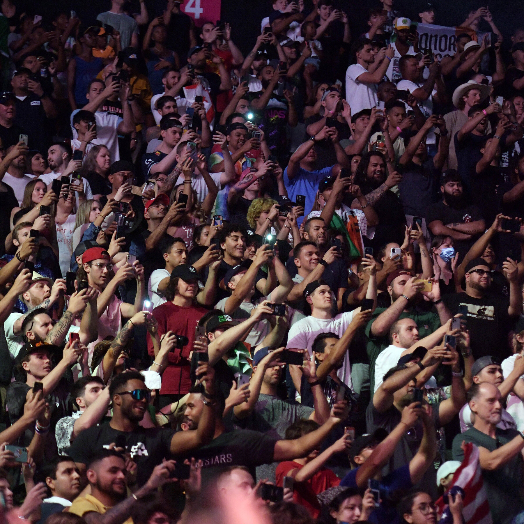 UFC fight crowd cheering