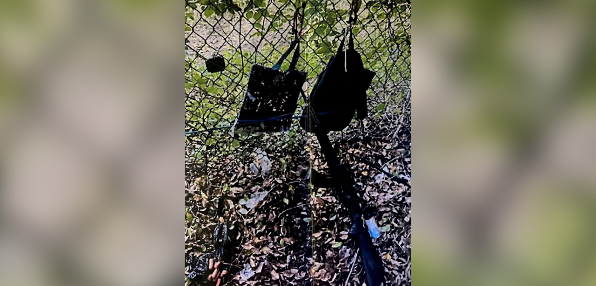 rifle recovered in ryan rouths assassination attempt